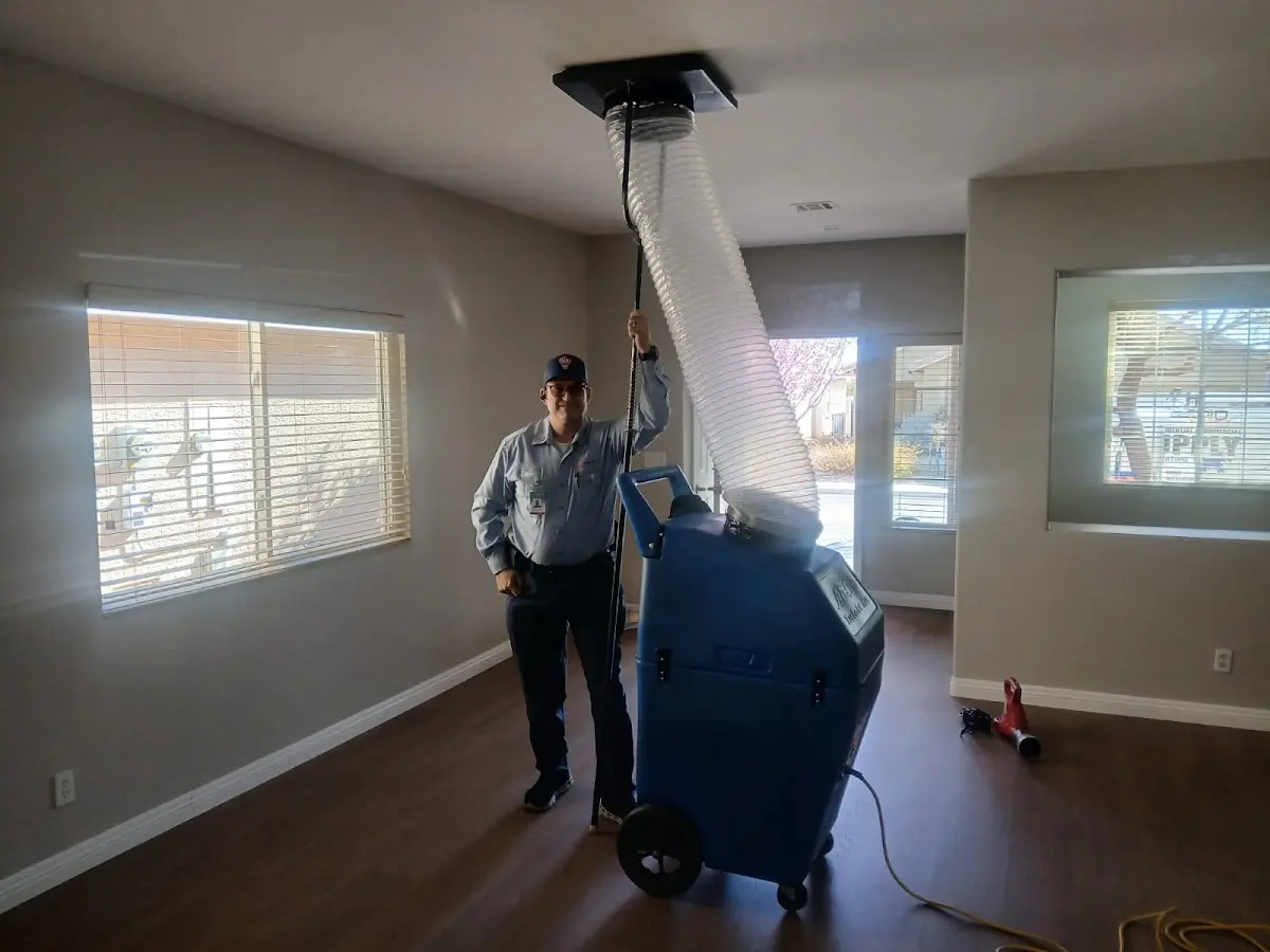 Professional Dryer Vent Cleaning work inside a Kirkland home